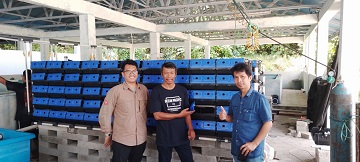 You are currently viewing Melalui Vertical Crab House, Tim Peneliti FPIK IPB University Dampingi DKP Sumatera Barat Kembangkan Perikanan Kepiting