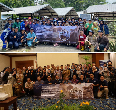 Read more about the article SKHB IPB University dan Indonesia-Australia Red Meat and Cattle Partnership Gelar Pelatihan Manajemen Reproduksi dan Kesehatan Sapi Potong se-Indonesia
